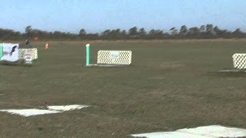 BLADE mCP X BNF (BLH3580) - Bert Kammerer.wmv