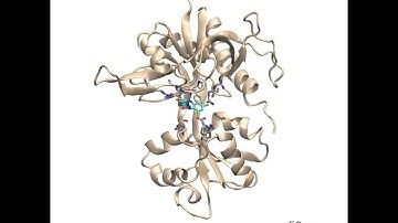 Molecular dynamics simulation of the GluN1 agonist binding domain with bound L-689,560