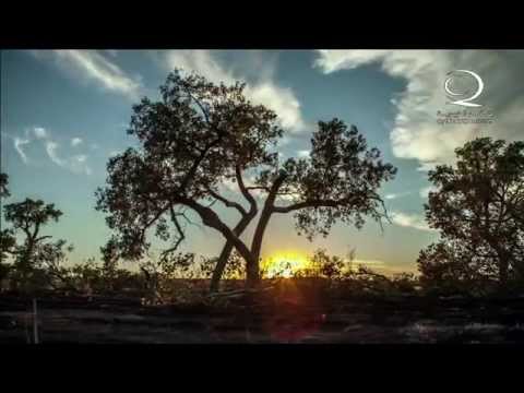 الطف بقلوبنا يا لطيف مقطع رائع بصوت الشيخ نبيل العوضي 