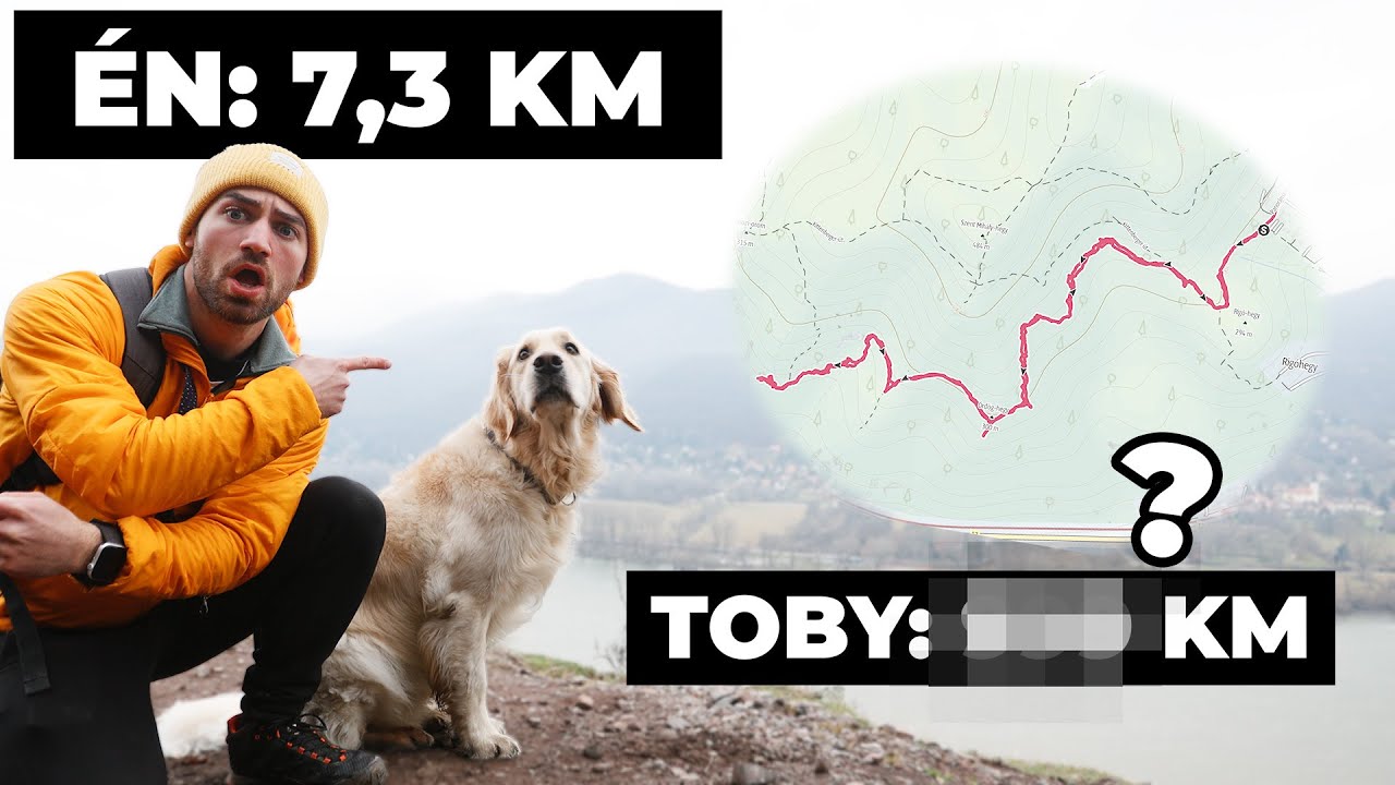 TOBY NYOMKÖVETŐT kapott! (és ennyivel megy többet, mint én!)
