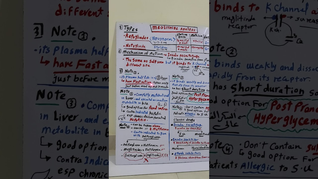 short acting insulin secretagouges(meglitinides).American guide lines.