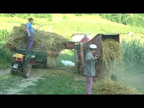 Radjevina medju takusama-Obicaji Radjevine-Dobrivoje i Dobrila Pantelic