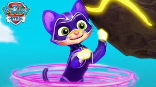 chao ji ying xiong da zhan chao ji fan pai paw patrol wang