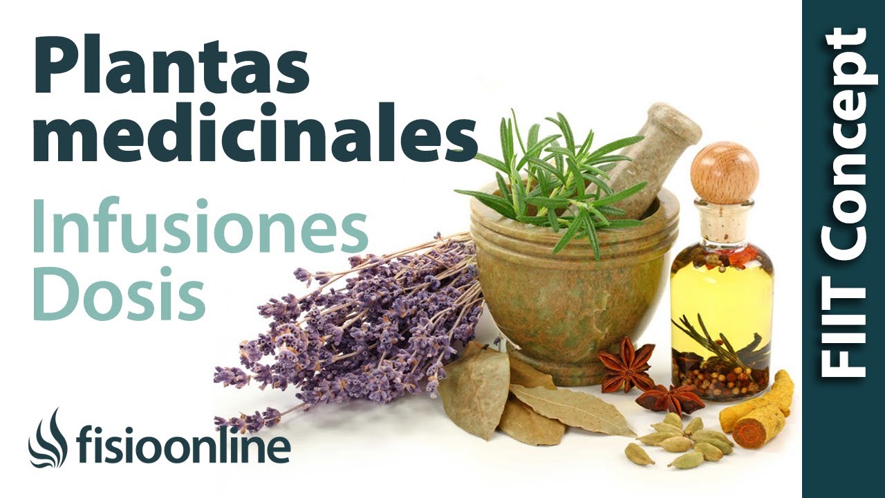 Tratamiento con plantas medicinales - Cómo hacer la infusión, dosis y  duración de un tratamiento - YouTube