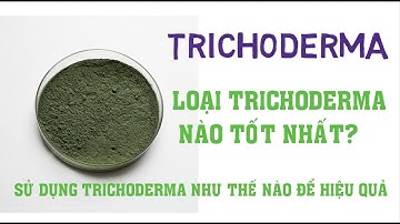 Nông dân cần biết-hiểu về nấm trichoderma, cách chọn sản phẩm chất lượng và cách ủ tricho tại nhà.