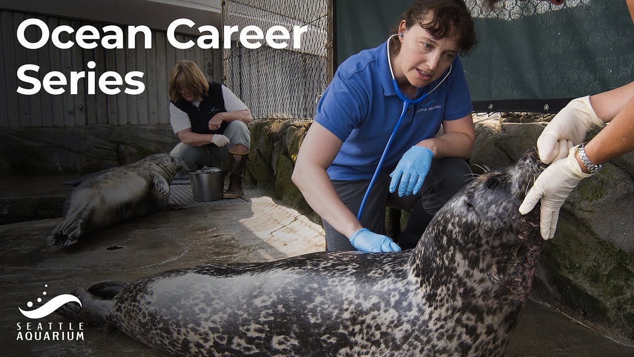 an Aquarium Vet A Conversation with Seattle Aquarium's Senior