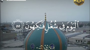 القارئ د. عبدالرحمن الأركي
