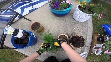 Spring Gardening