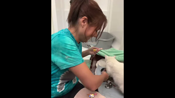 Moms love Knows no species 🥰🥰❤️❤️#foryou #fyp #pet #cat #usaus #catlove #kitten #love