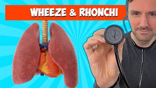 Wheeze and Rhonchi 🩺 🫁: Lung Sounds For Beginners 🔥🔥🔥 by The Learn Medicine Show 87,805 views 8 months ago 6 minutes, 6 seconds