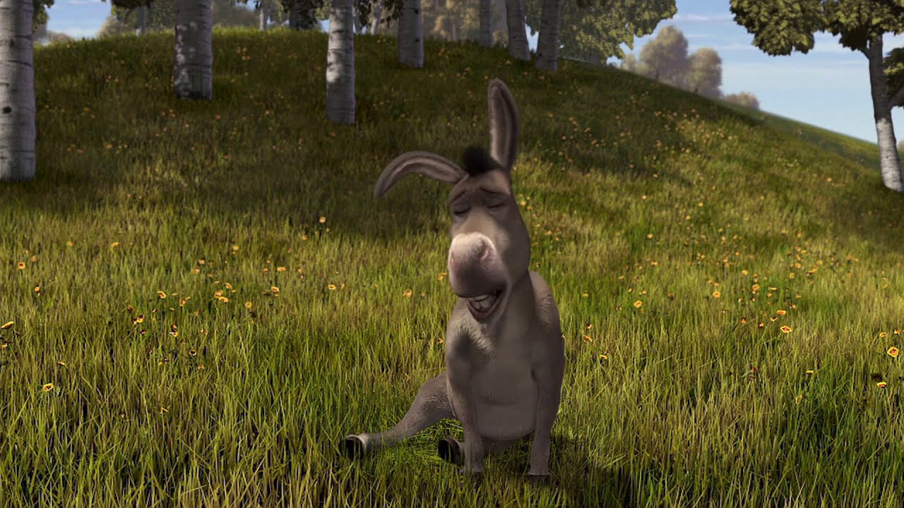 Are Donkey Shows Real In Mexico