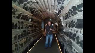 Güllüm Nice Mutllu Yıllaraa