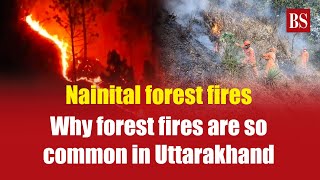 Nainital forest fires: Why forest fires are so common in Uttarakhand