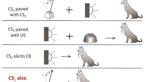 PSYC 370 Video Lecture - Variables Affecting Classical Conditioning (Part 2)
