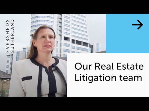 Our Real Estate Litigation Team