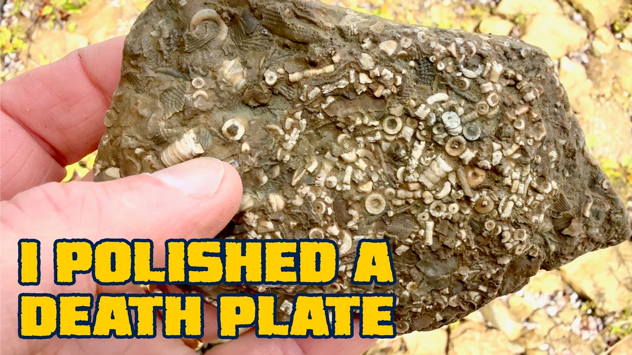 Этот пляж озера Гурон покрыт окаменелостями!