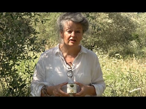Video: Hoe om truffelolie te maak (met foto's)