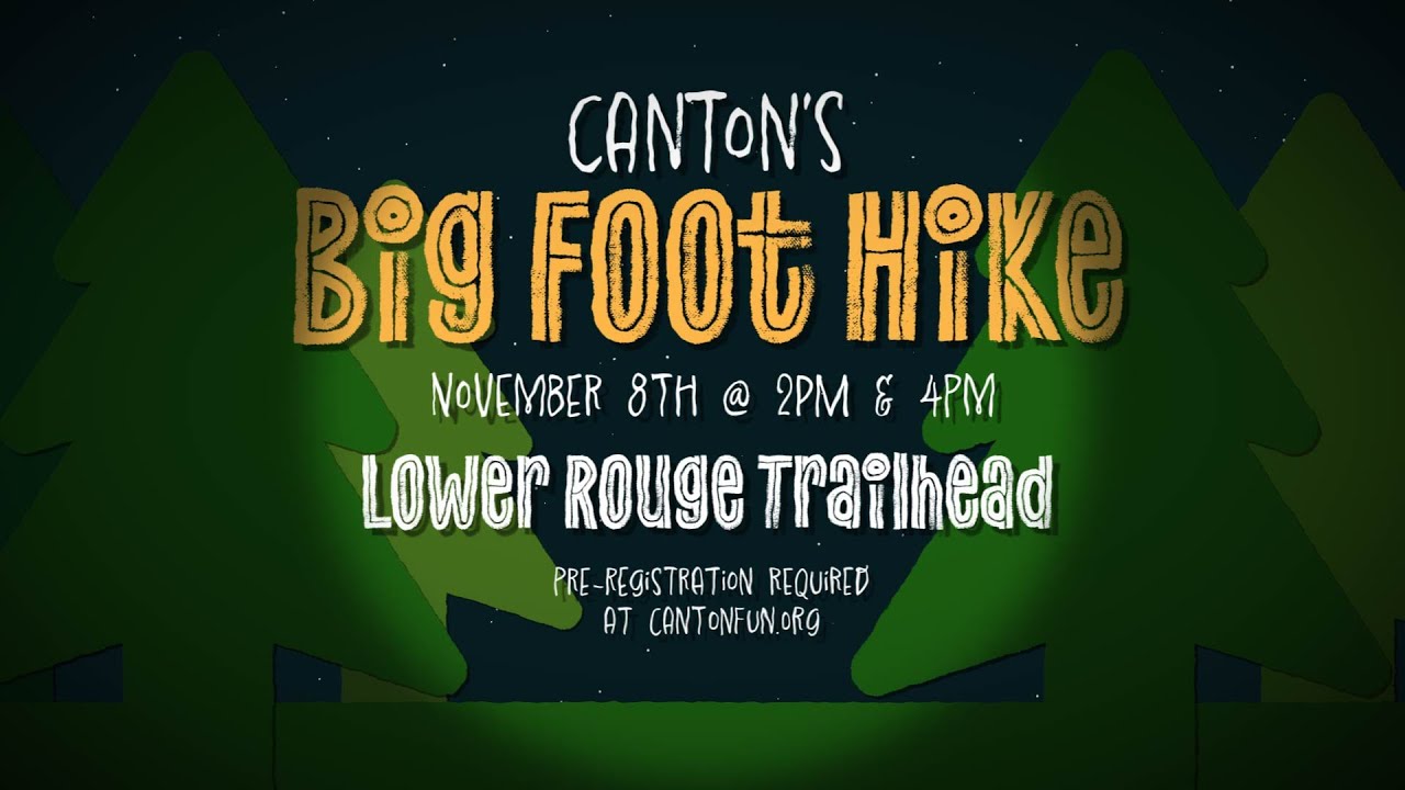 Canton Township PSAs