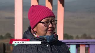 Вспышка норовирусной инфекции произошла в одной из школ Заиграевского района