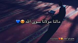 حالات واتس 🌹🍃  الله ❤الله ❤ مالنا مولانا سوى الله❤