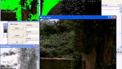 vegetation_Multicam_mpeg4_mp3.avi