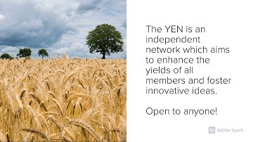 Introducing the Yield Enhancement Network
