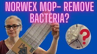 Norwex Mop Tested! Can it Remove Bacteria w/ Only Water???