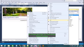 2.ASP.NET Master Pages Part 2