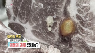 [생방송 오늘 아침] 돼지고기 잘라보니... '의문의 고름' 정체는?, MBC 210316 방송