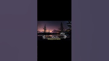 سورة النجم 29-32 | Surah Al Najm 29-32 #القرآن_الكريم #quran #fyp