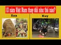 Việt Nam đa thay đổi ra sao trong 10 năm?