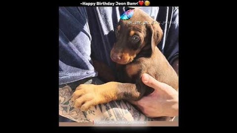 ~𝗛𝗮𝗽𝗽𝘆 𝗕𝗶𝗿𝘁𝗵𝗱𝗮𝘆 𝗝𝗲𝗼𝗻 𝗕𝗮𝗺 ❤️🥳 #jeonbam #bam #birthdayboy#bts#btsshorts#btsedits#viral#shorts#trending