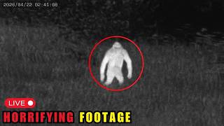 3 Hours of Most DISTURBING Bigfoot Encounters Caught on Camera