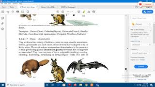 Kingdom Animalia -An Introduction Class 11-CBSE http://ncert.nic.in/textbook/textbook.htm?kebo1=4-22