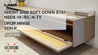 [FEATURE] ARM SOFTDOWN STAY NSDX10 (R/L) KTV / DROP HINGE SDHP  Sugatsune Global