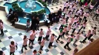 South Park Middle School flash mob