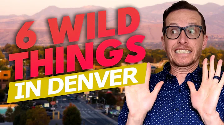 6 WILD Things About DENVER Colorado You SHOULD Know Before Moving Here 😱