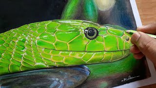 How to draw realistic snake | Time lapse | Green Mamba | Midhun's Arts