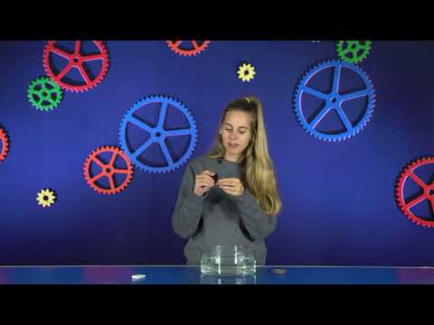 Video: Kuidas tiigleid valmistatakse?