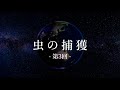 教養講座 「虫の捕獲」第3回 講師:荻野目洋子
