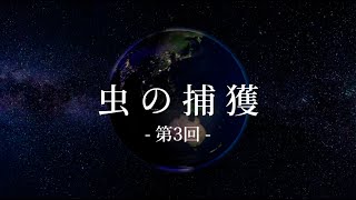 教養講座 「虫の捕獲」第3回　講師：荻野目洋子