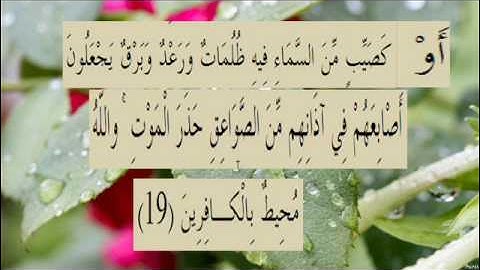 القران الكريم سورة البقرة الاية 19