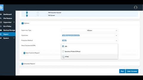 Spectrum Protect Plus -  Reporting