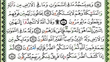 سورة النحل كاملة برواية ورش للقارئ العيون الكوشي