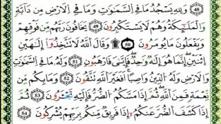 سورة النحل كاملة برواية ورش للقارئ العيون الكوشي