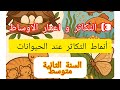 أنماط التكاثر عند الحيوانات درس سهل و ممتع السنة الثانية متوسط العلوم الطبيعية