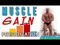 Muscle Gain Periodization | Nutrition for Muscle Gain - Lecture 5