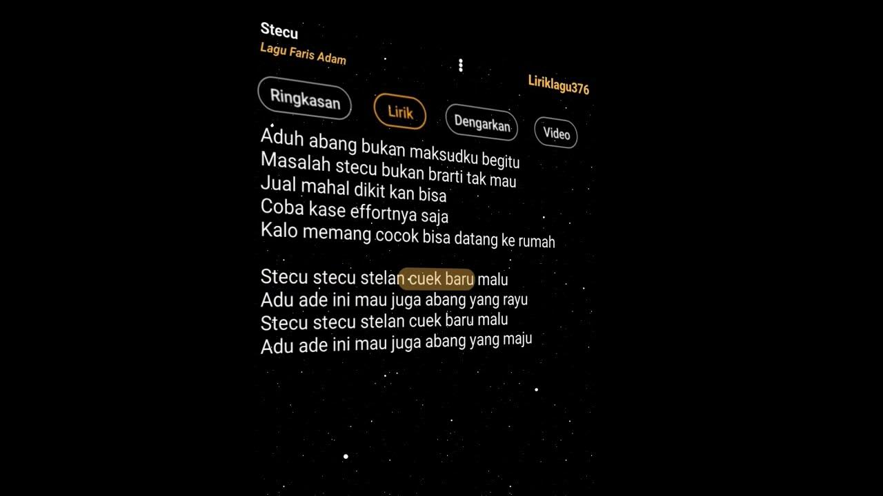 Stecu || Lagu Faris Adam #liriklagu #lirik #stecu #lyrics