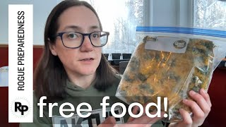 Nature's Free Supermarket - How to Forage For Wild Edibles - 30 Days of Survival 6/30 by Rogue Preparedness 473 views 3 months ago 10 minutes, 58 seconds