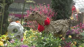 Botanical Gardens - Singapore - In 4K - 1 March 2026